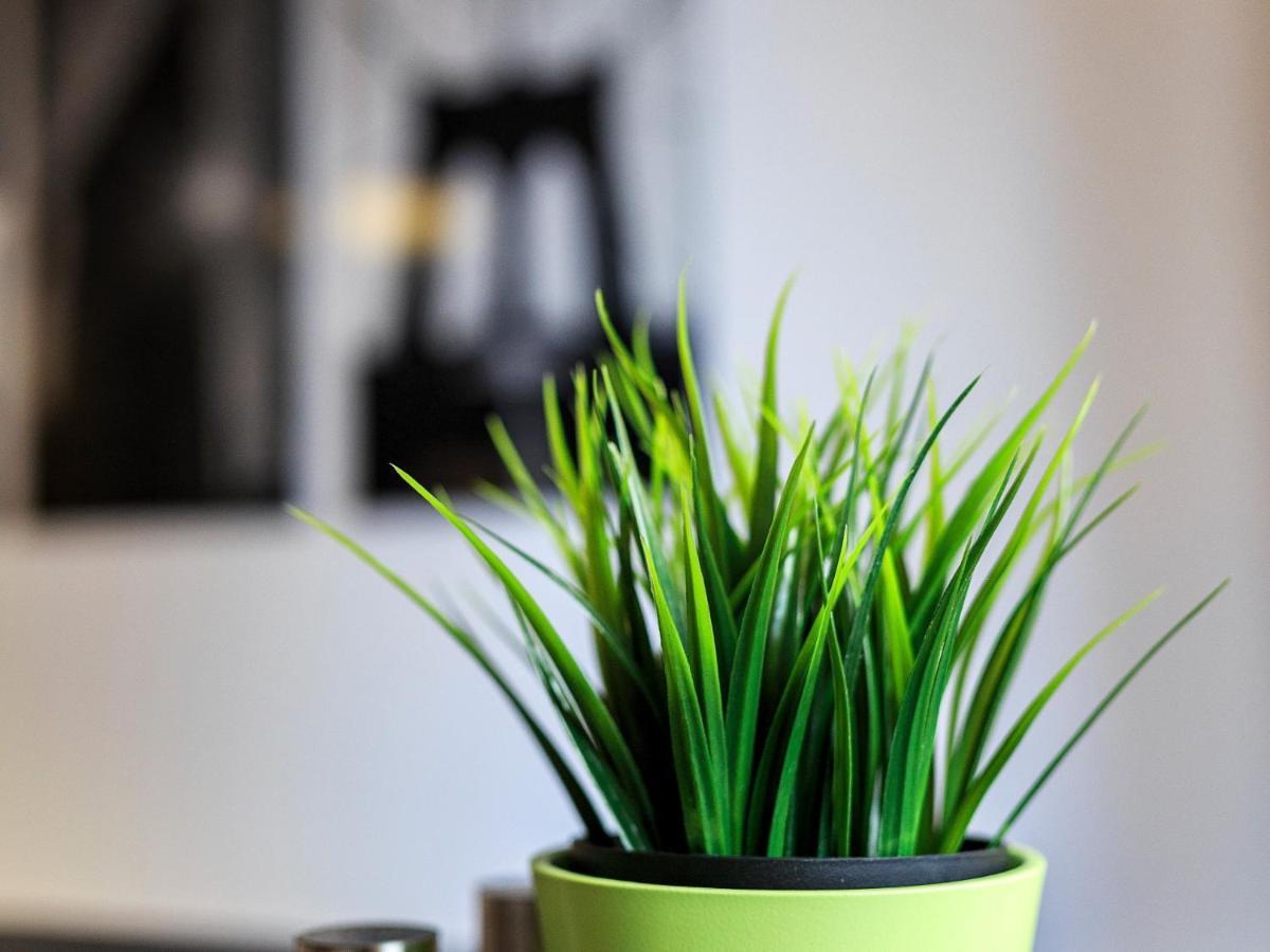 Nyc Gare Apartment *